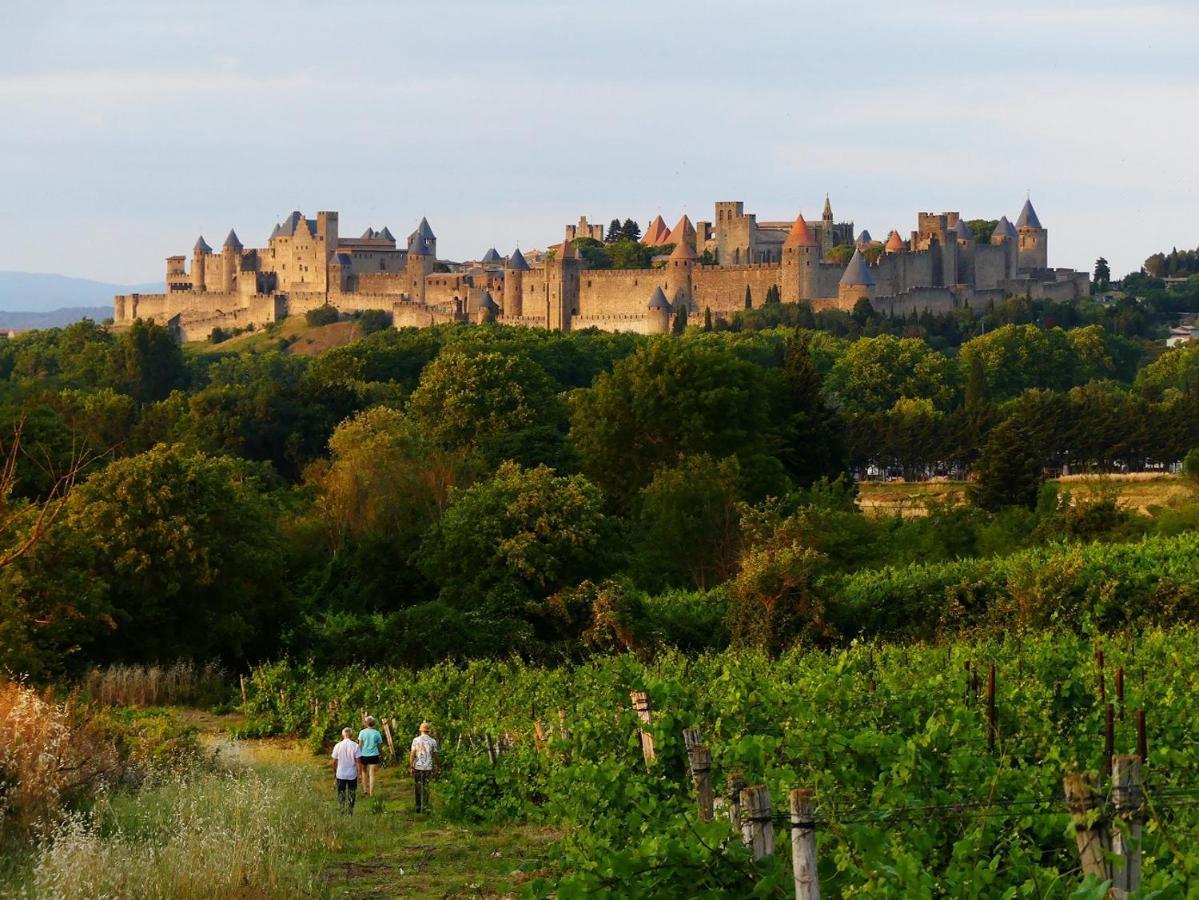 La Maison Des Chapeliers Carcassonne Ngoại thất bức ảnh